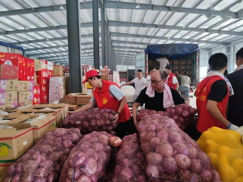 魯豫同心，蔬果傳情 聊城25噸新鮮蔬果馳援河南