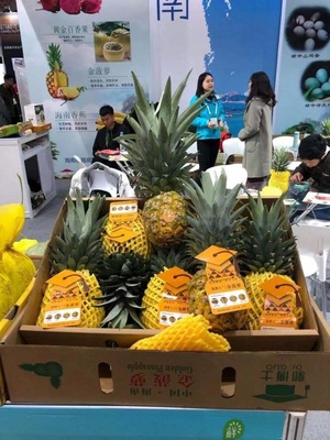 來自最新鮮的跳動——2019新零售生鮮食材展引領(lǐng)新鮮水果零售新風(fēng)潮